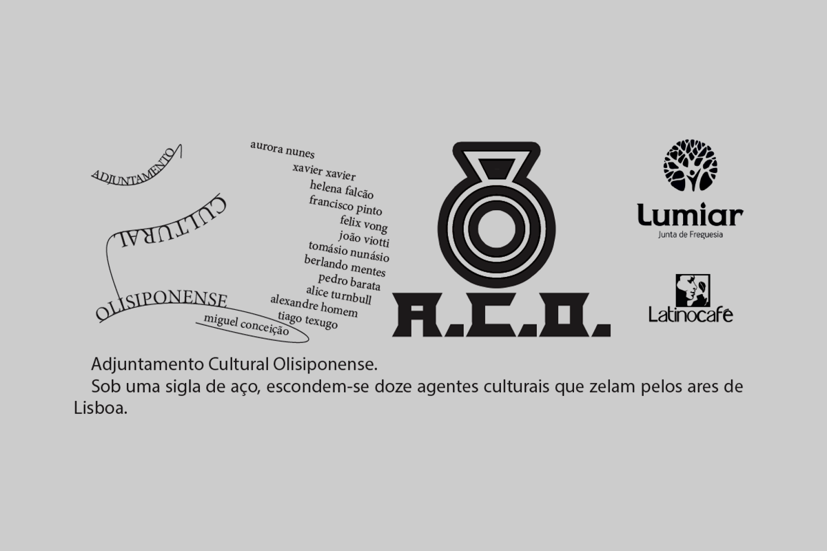 Exposição ‘Adjuntamento Cultural Olisiponense’, com curadoria de João Viotti na Galeria Liminare até 1 de Julho