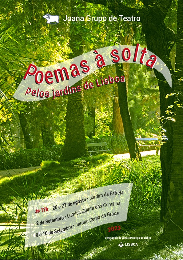 Poemas à Solta
