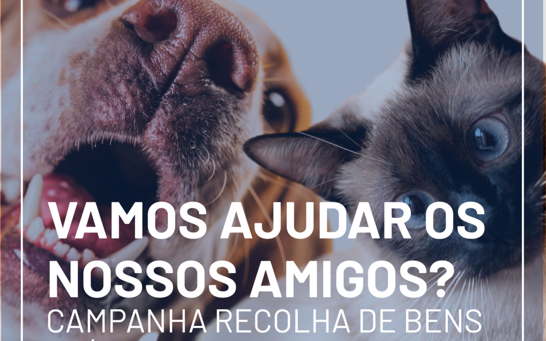 Dia Mundial do Animal – Recolha de Donativos