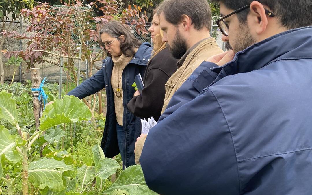 Junta de Freguesia visita a Horta Urbana da Escola Secundária do Lumiar
