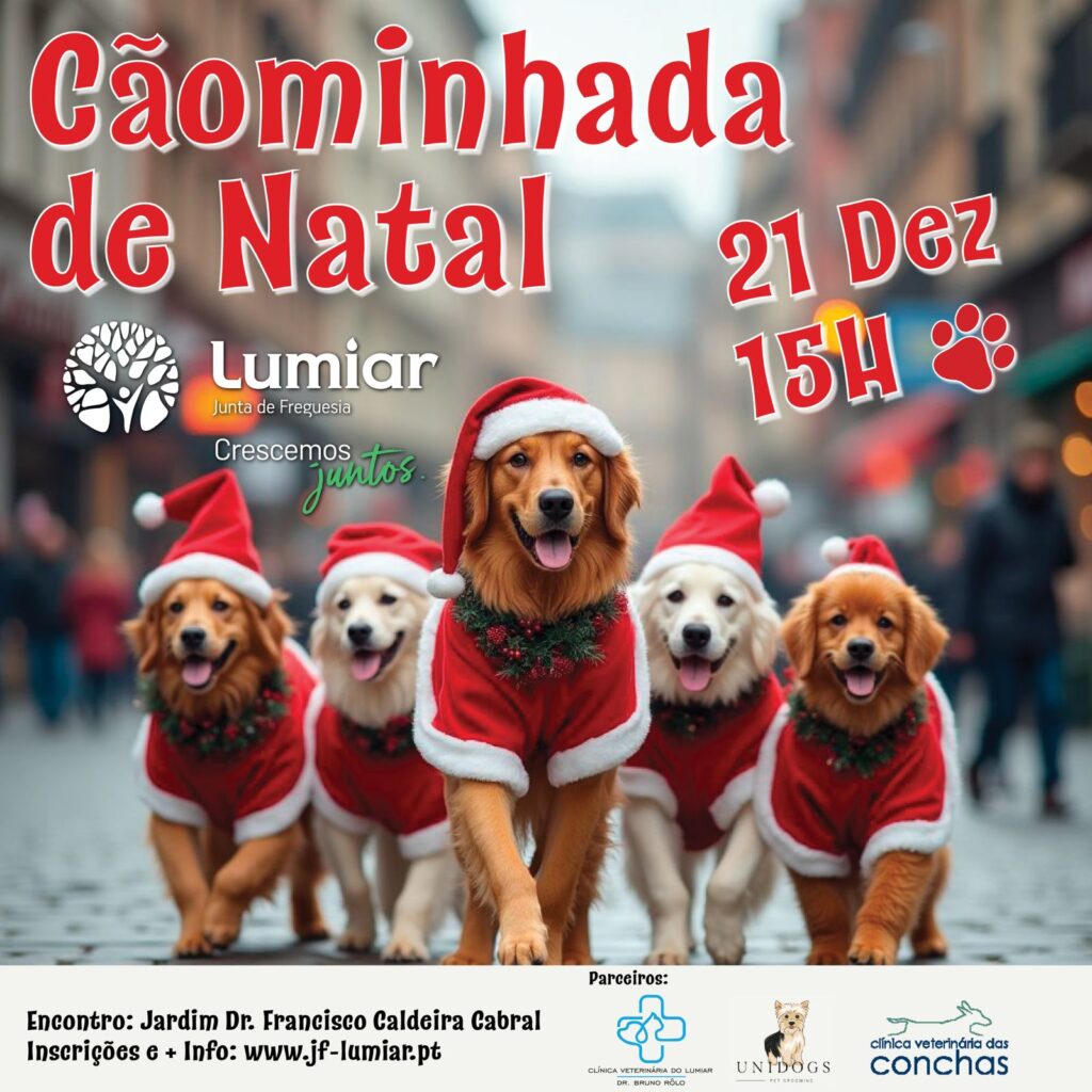Cãominhada de Natal