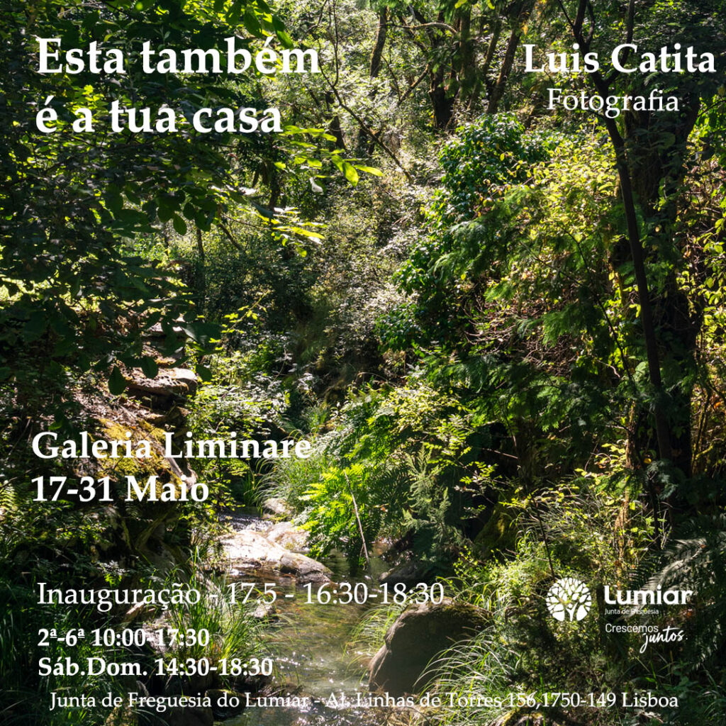 Exposição “Esta também é a tua casa – This is your home too”