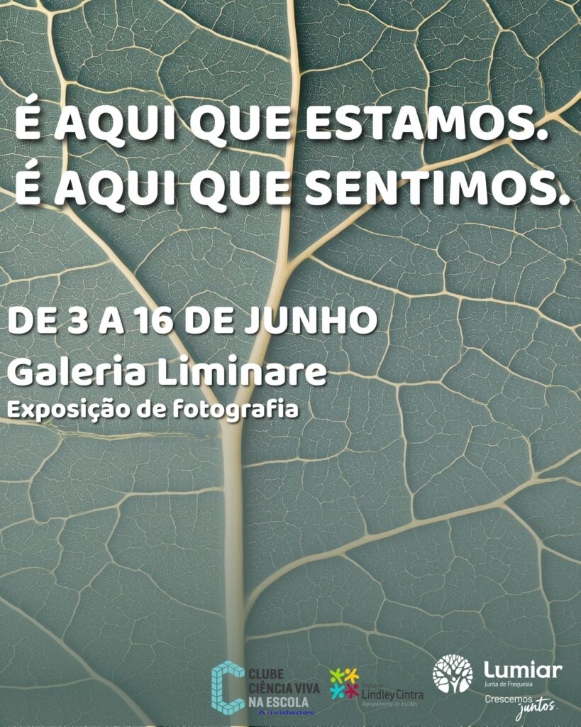 Exposição “É aqui que estamos. É aqui que sentimos”